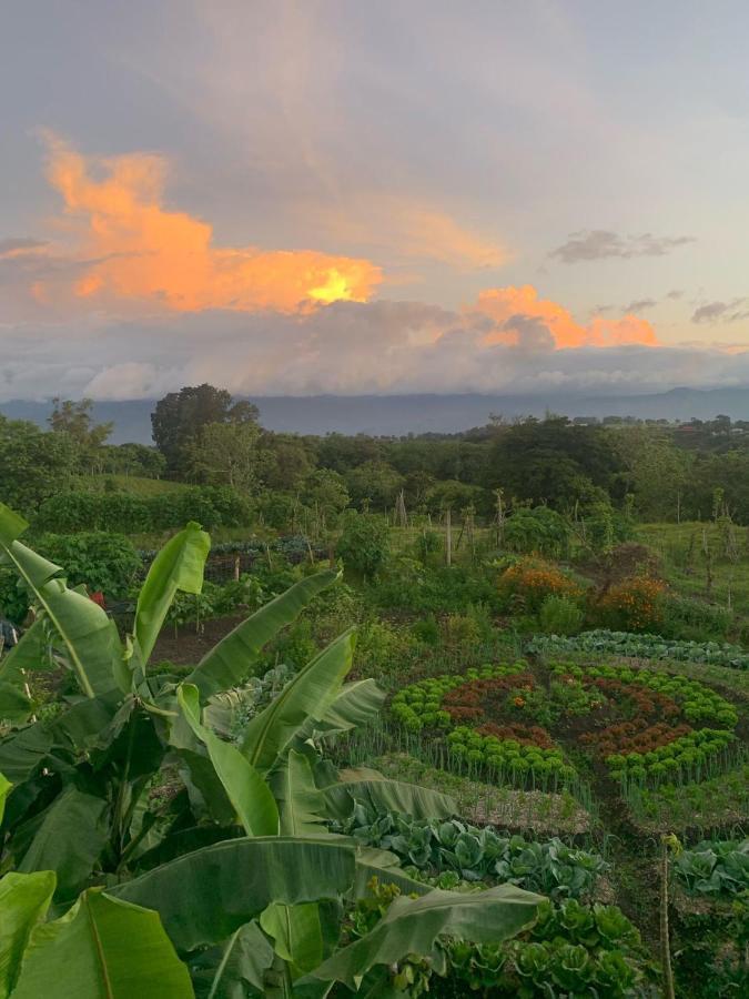 Glamping Campo Alegre Cartago